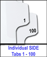1_100_individual.gif